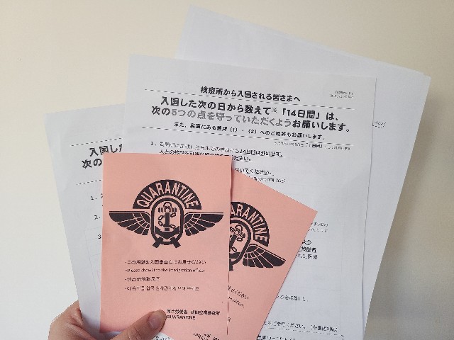 f:id:su7se7:20210202205332j:image