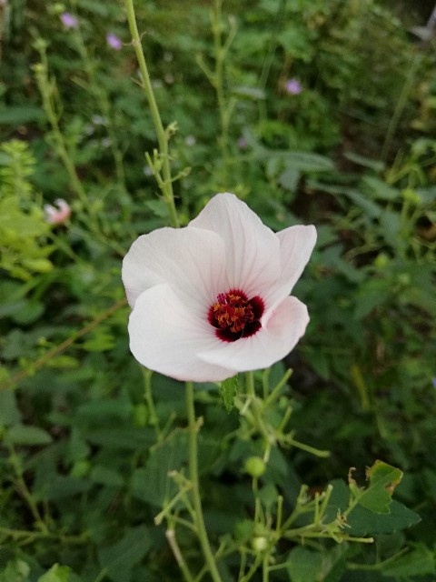 f:id:su831:20191006155834j:image f:id:su831:20191006155834j:image