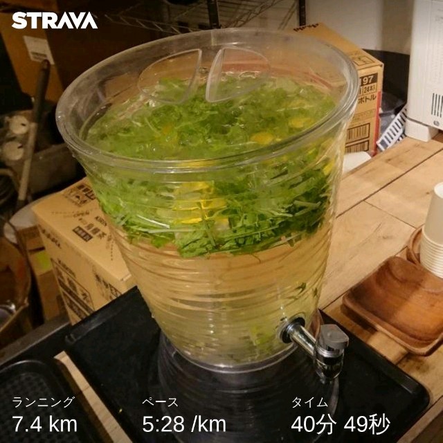 f:id:sub2runner:20191129214158j:image f:id:sub2runner:20191129214158j:image