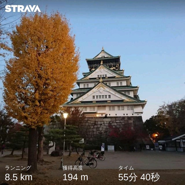 f:id:sub2runner:20191205113217j:image f:id:sub2runner:20191205113217j:image