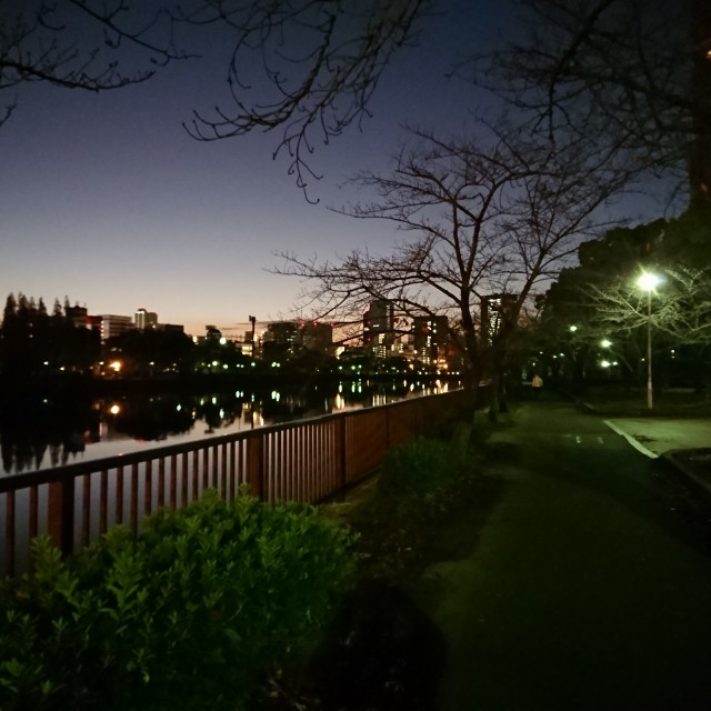f:id:sub2runner:20191205113250j:image f:id:sub2runner:20191205113250j:image