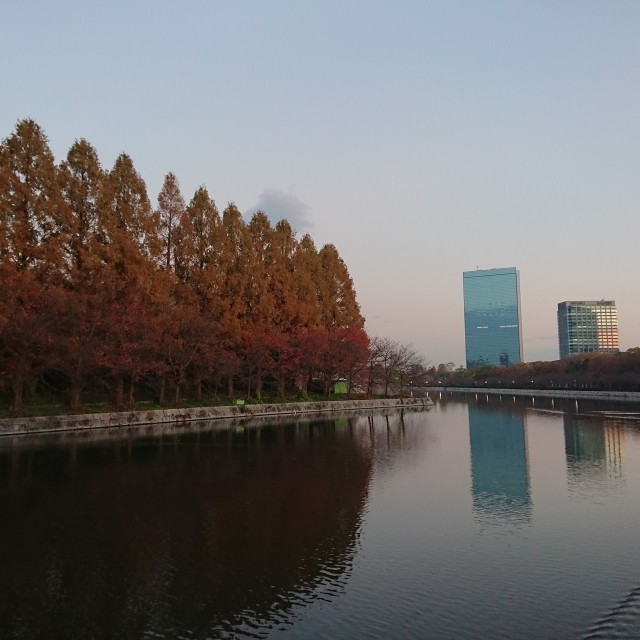 f:id:sub2runner:20191205113406j:image f:id:sub2runner:20191205113406j:image