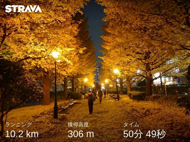 f:id:sub2runner:20191210233353j:image f:id:sub2runner:20191210233353j:image