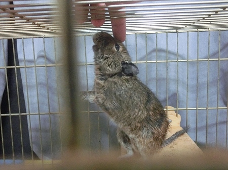 f:id:subarashii_y_m_c_a:20170710233924j:plain