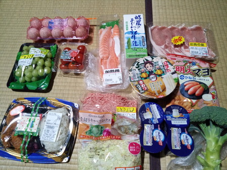 f:id:subarashii_y_m_c_a:20220115210311j:plain