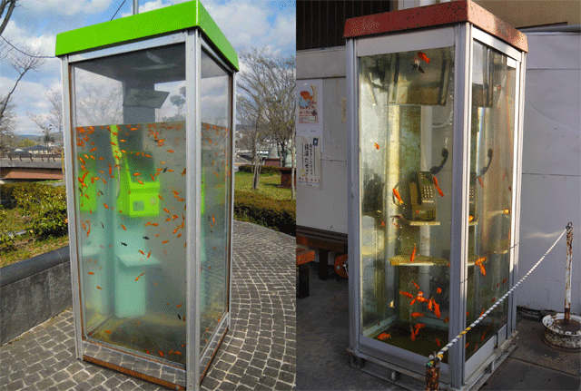 f:id:subarutomori:20210828230612p:plain