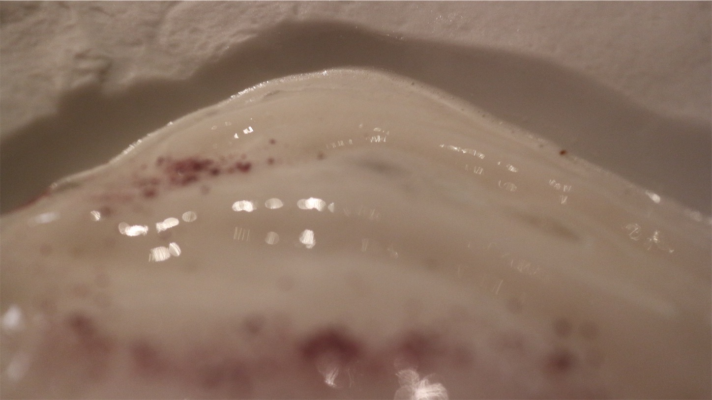 f:id:subasio:20251011075252j:image