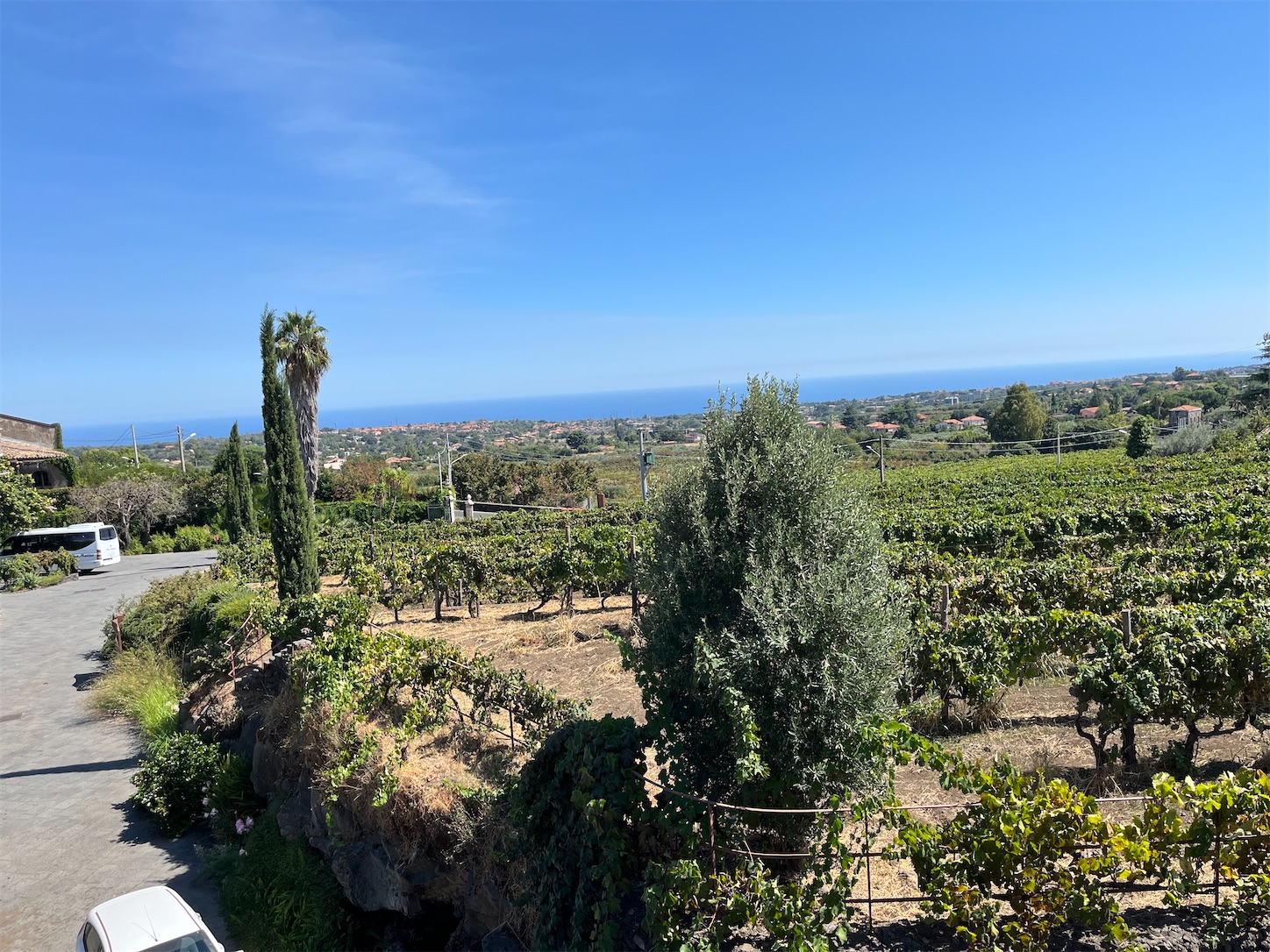 f:id:subasio:20251020192201j:image