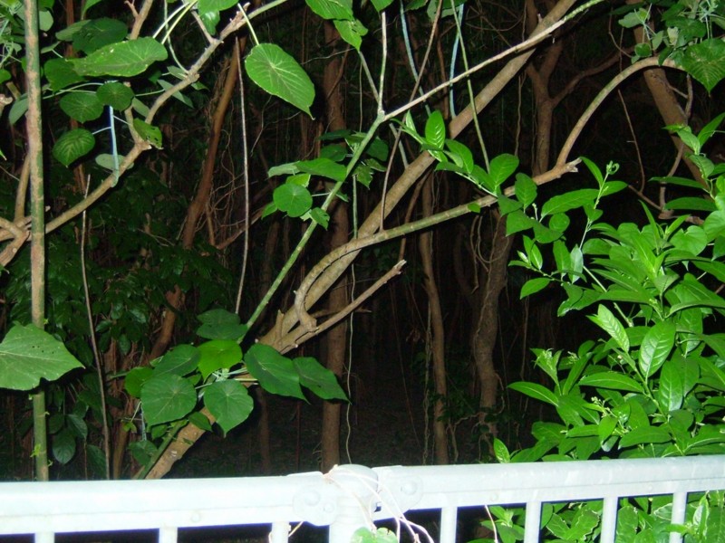 f:id:sube-sube:20101222234930j:image f:id:sube-sube:20101222234930j:image