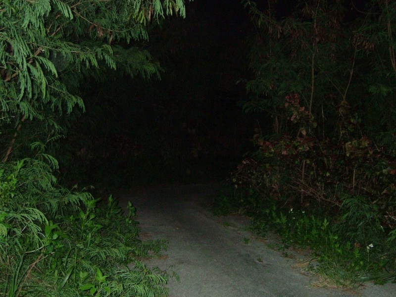 f:id:sube-sube:20101222235043j:image f:id:sube-sube:20101222235043j:image