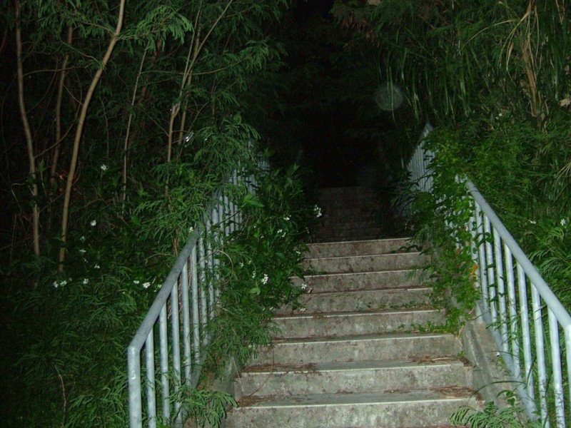 f:id:sube-sube:20101222235211j:image f:id:sube-sube:20101222235211j:image
