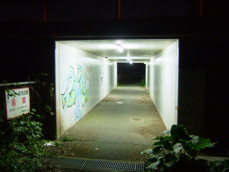 f:id:sube-sube:20101222235223j:image f:id:sube-sube:20101222235223j:image