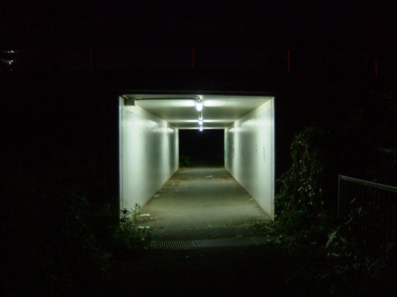 f:id:sube-sube:20101222235422j:image f:id:sube-sube:20101222235422j:image