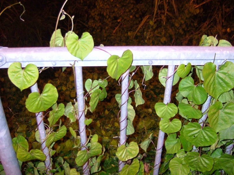 f:id:sube-sube:20101223000225j:image f:id:sube-sube:20101223000225j:image