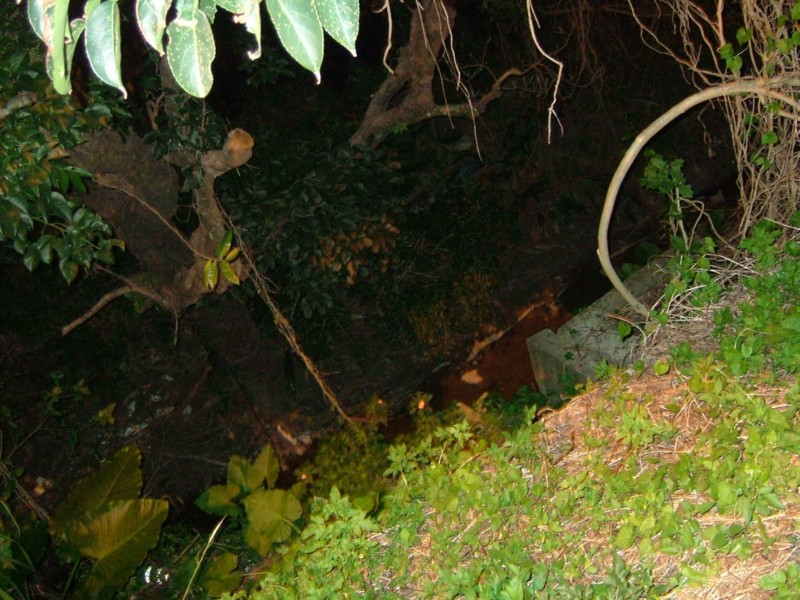 f:id:sube-sube:20101223000350j:image f:id:sube-sube:20101223000350j:image