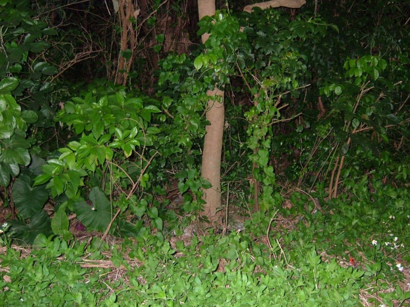 f:id:sube-sube:20101223003929j:image f:id:sube-sube:20101223003929j:image