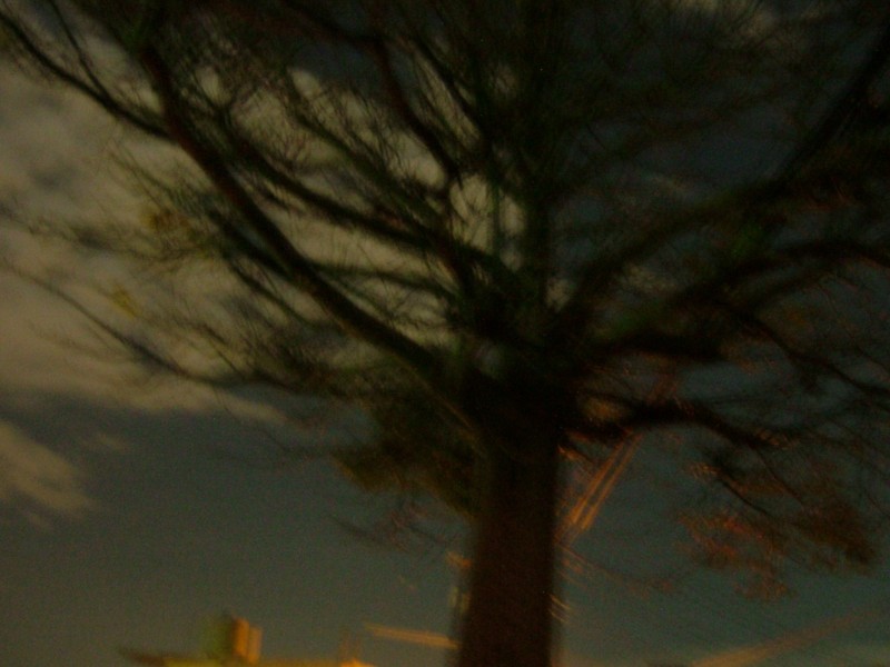 f:id:sube-sube:20101223004900j:image f:id:sube-sube:20101223004900j:image