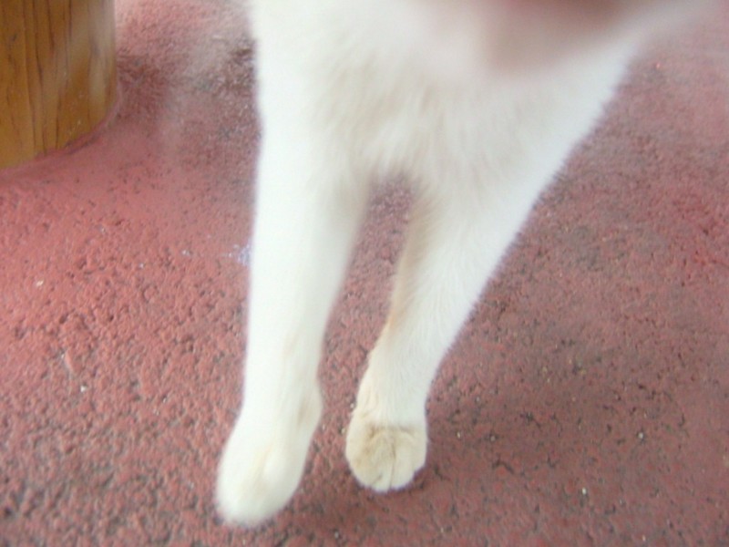 f:id:sube-sube:20110312175918j:image f:id:sube-sube:20110312175918j:image
