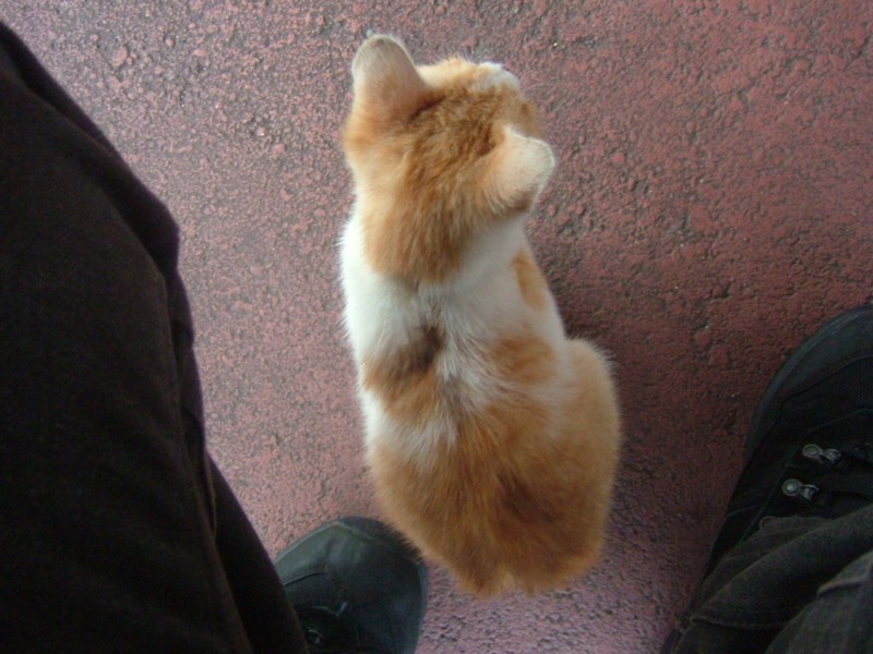 f:id:sube-sube:20110312180006j:image f:id:sube-sube:20110312180006j:image
