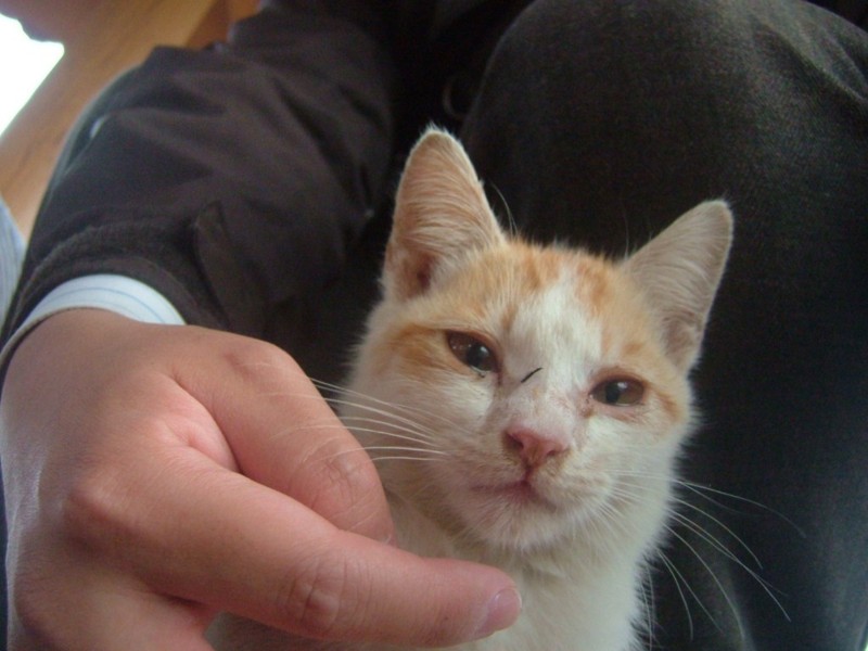 f:id:sube-sube:20110312180020j:image f:id:sube-sube:20110312180020j:image