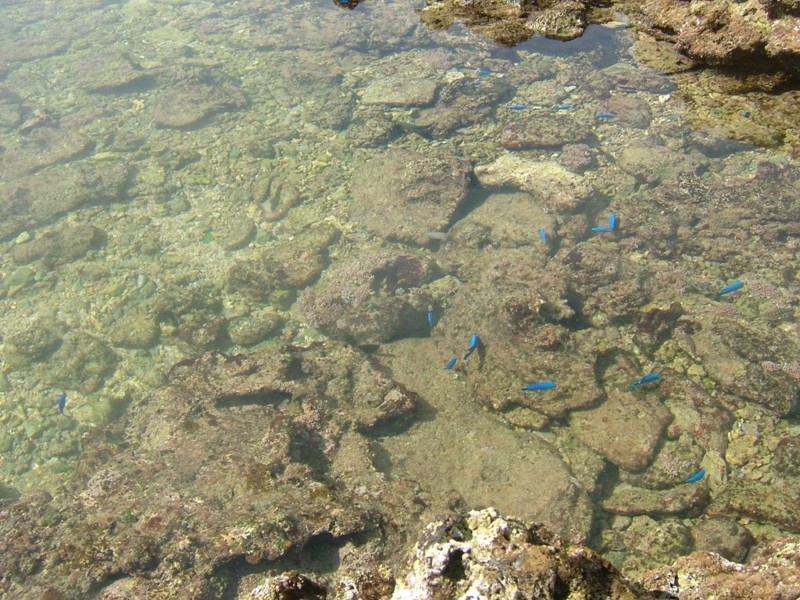 f:id:sube-sube:20110321150745j:image f:id:sube-sube:20110321150745j:image