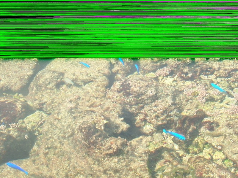 f:id:sube-sube:20110321150758j:image f:id:sube-sube:20110321150758j:image