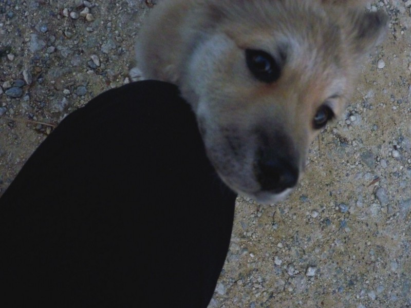 f:id:sube-sube:20110412184621j:image f:id:sube-sube:20110412184621j:image