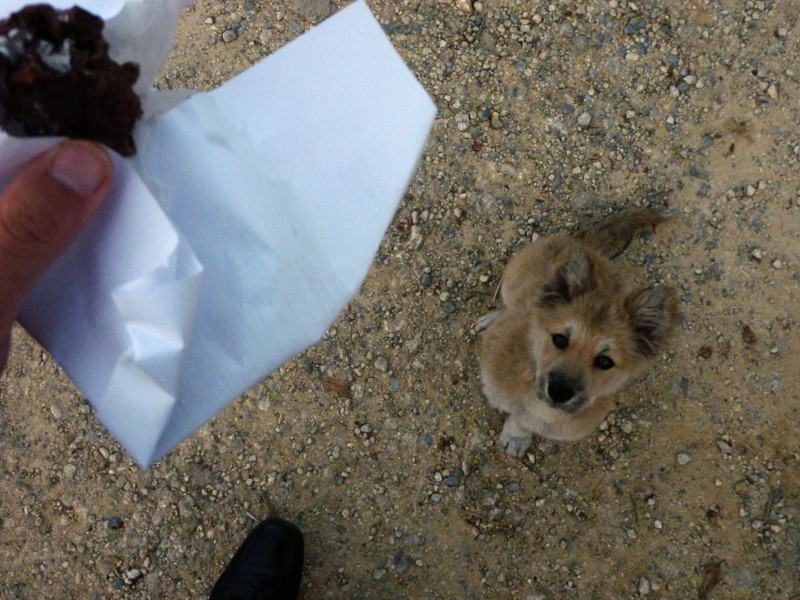 f:id:sube-sube:20110412184642j:image f:id:sube-sube:20110412184642j:image