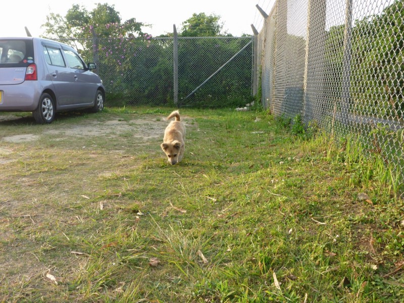 f:id:sube-sube:20110420180715j:image f:id:sube-sube:20110420180715j:image