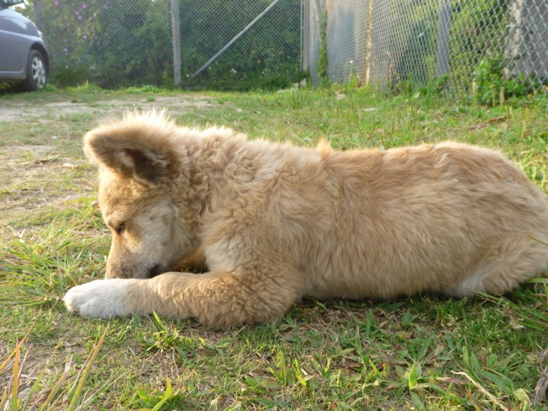 f:id:sube-sube:20110420180736j:image f:id:sube-sube:20110420180736j:image