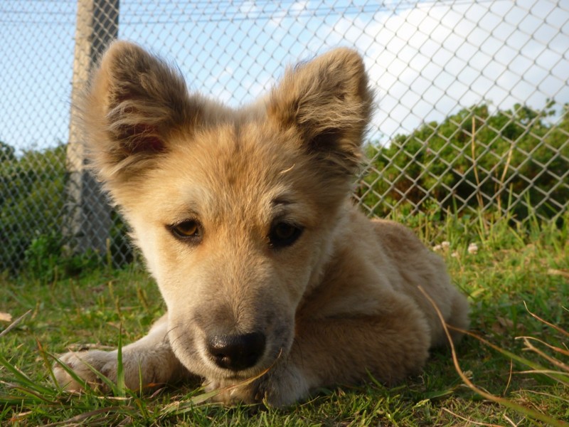f:id:sube-sube:20110420180749j:image f:id:sube-sube:20110420180749j:image