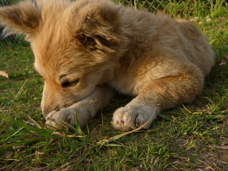 f:id:sube-sube:20110420180752j:image f:id:sube-sube:20110420180752j:image