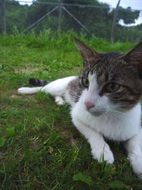 f:id:sube-sube:20110509184741j:image f:id:sube-sube:20110509184741j:image