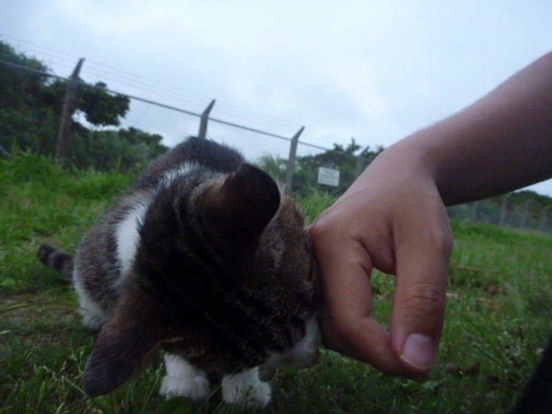 f:id:sube-sube:20110509184811j:image f:id:sube-sube:20110509184811j:image