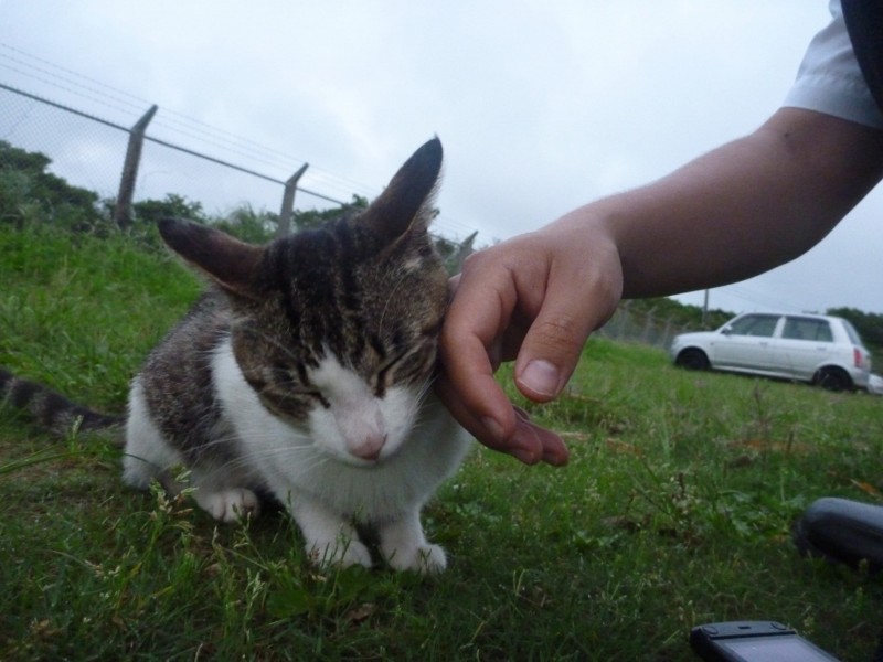 f:id:sube-sube:20110509184820j:image f:id:sube-sube:20110509184820j:image