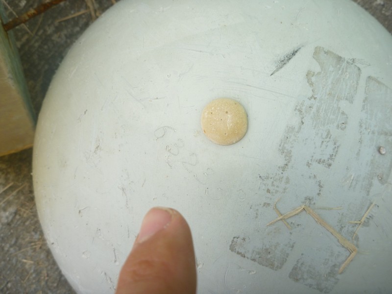 f:id:sube-sube:20110515152956j:image f:id:sube-sube:20110515152956j:image