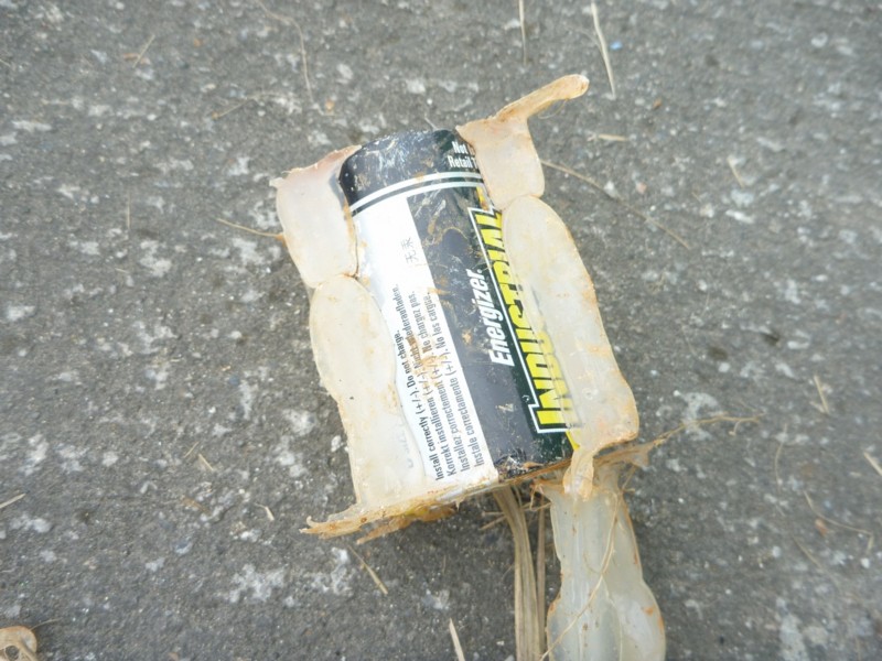 f:id:sube-sube:20110515153035j:image f:id:sube-sube:20110515153035j:image