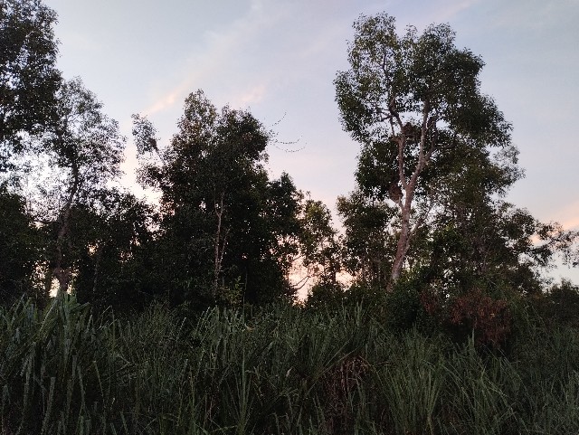 f:id:subete8suteki:20240808192333j:image