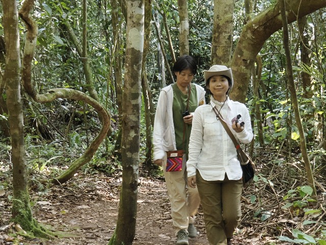 f:id:subete8suteki:20240808223316j:image
