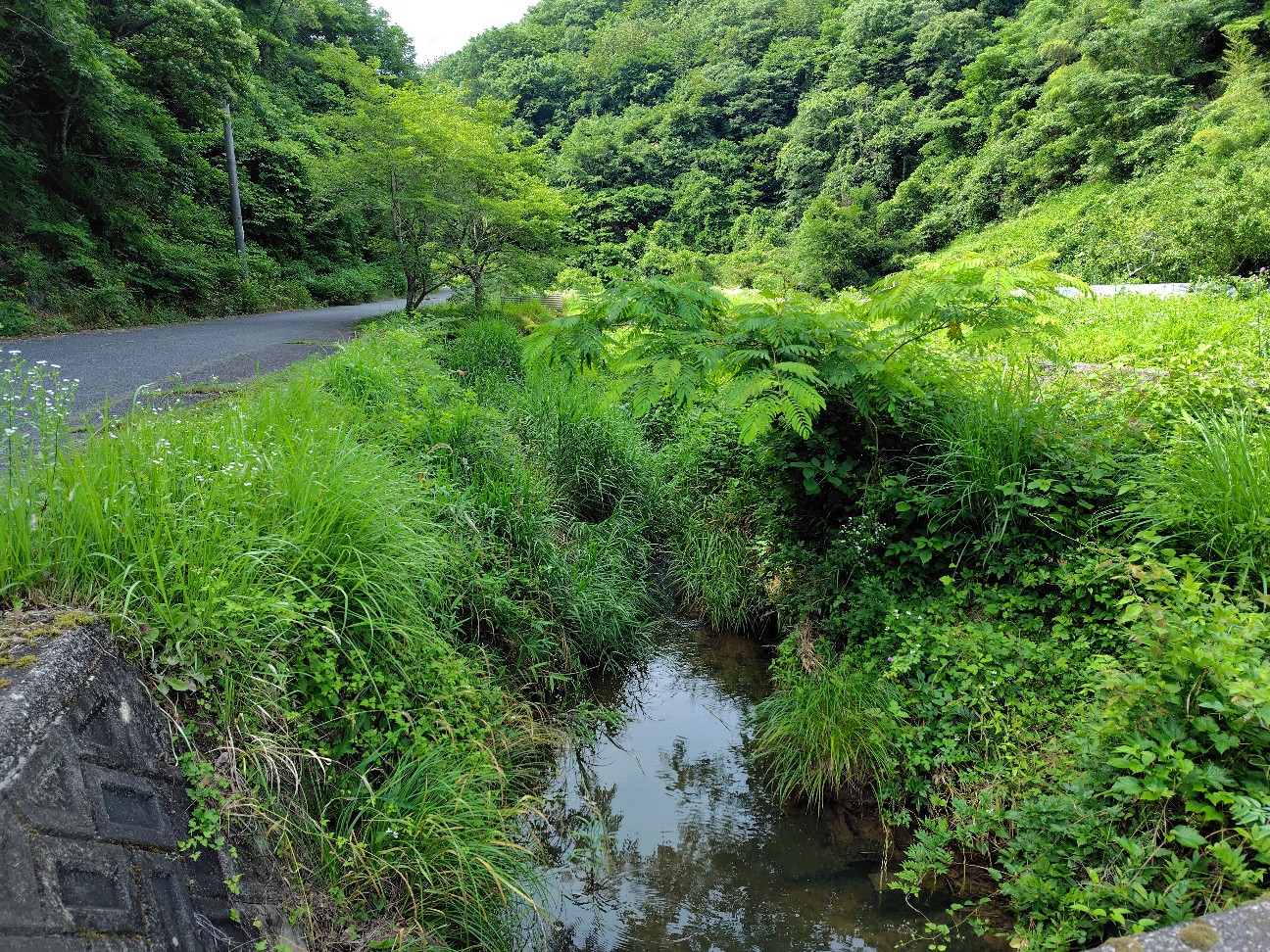 f:id:subete8suteki:20260618092449j:image