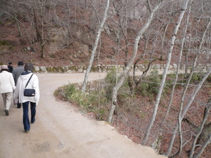f:id:subetesuki08:20080320083105j:image