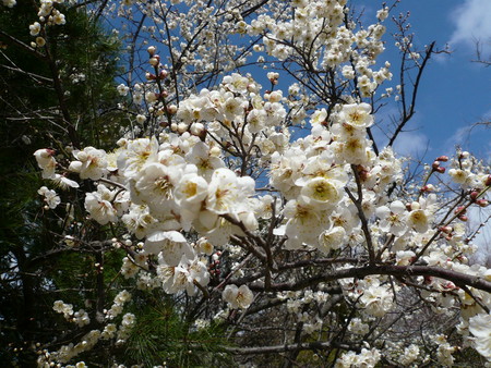 f:id:subetesuki08:20080320100947j:image