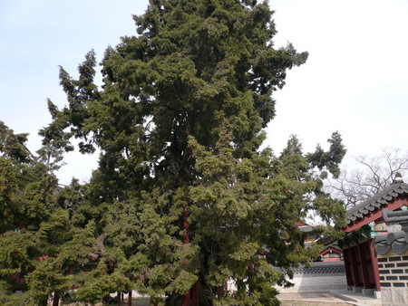 f:id:subetesuki08:20080321155454j:image