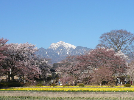 f:id:subetesuki08:20080406070303j:image