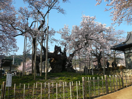 f:id:subetesuki08:20080406070812j:image