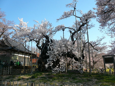 f:id:subetesuki08:20080406071321j:image