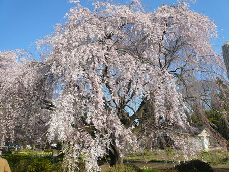 f:id:subetesuki08:20080406072757j:image