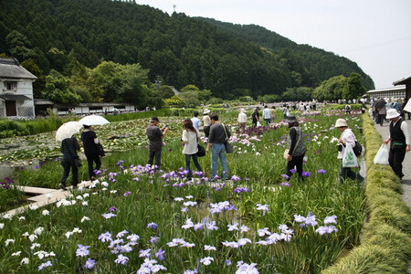 f:id:subetesuki08:20080607104010j:image