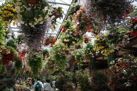 f:id:subetesuki08:20080607113950j:image