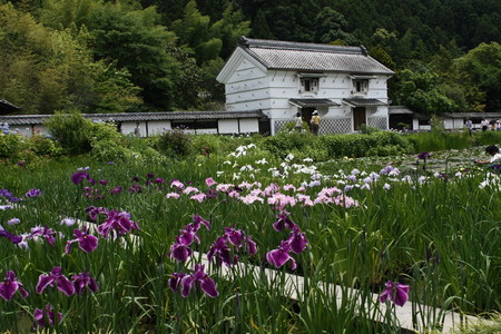 f:id:subetesuki08:20080607115358j:image